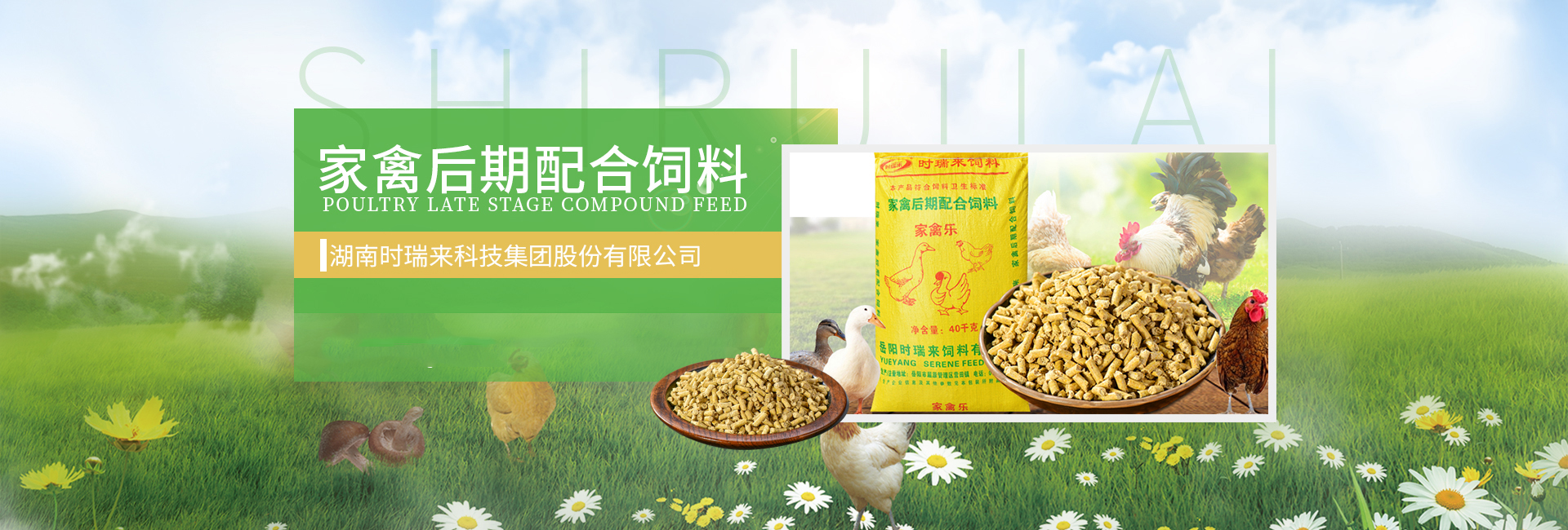 首頁banner2